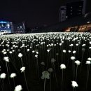 장미정원 이미지