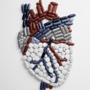 기존 심장 약물은 알코올 사용 장애 치료에 도움이 될 수 있습니다 이미지