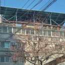 사해 태양광발전소 이미지