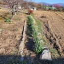 도토리농장 이미지