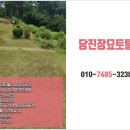 당진장묘토탈