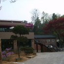 합동농원 Daum카페