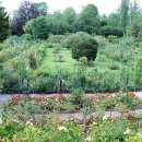 지베르니 이미지