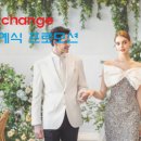 노보텔 앰배서더 서울 동대문 호텔 이미지