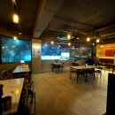 교촌치킨 | 야탑 맛집 추천 | 야탑 교촌치킨 후기(야탑 치킨·야탑 술집·교촌 매장 방문 후기)