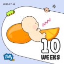 연제일신병원 (산부인과) 이미지