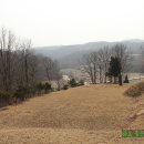 영원부원군 묘 이미지