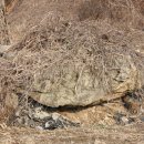 차평1리 이미지