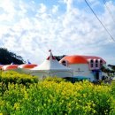 아라돔하우스 이미지