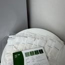 청구그린세탁 | 라코스테 중양말 RA018E-56G 내돈내산 후기