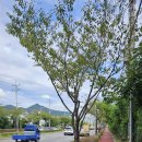 해파랑길 3코스 이미지