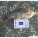 (주)문의IC주유소 이미지