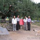 사과나무(주) 이미지