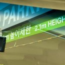 [부산/서면] 이마트 트레이더스 서면점 추천메뉴...찹쌀떡크림빵 간식추천 / 주차 / 주말방문후기 / 웨이팅
