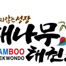 대나무태권도장 이미지