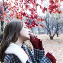 아그네스 이미지