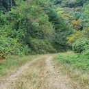 10월 29일(토요일) 22년 가을, 아름다운 숲길 걷기 울트라 도보. 이미지