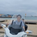 정선부동산공인중개사사무소 이미지