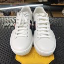 에이스 캣 이미지