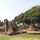 시산농장 이미지