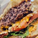 더프타운(duff town) 이미지