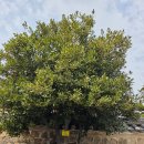 진주성촉석문 | 진주 가볼 만한 곳 진주성 - 진주남성당교육관(남성당한약방)