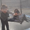 달콤한 캠핑장 이미지