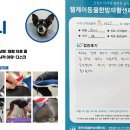 웰케어 동물건강검진센터·동물한방재활센터 이미지