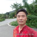 건화베스파 티스토리