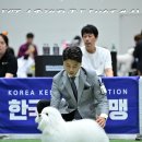 어썸테일즈 이미지