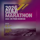 라파리메디핏 | 박정희마라톤 풀코스 첫도전 준비과정 , 바로핏 슬개골 무릎보호대 내돈내산 후기 , 마라톤 무릎통증 후기