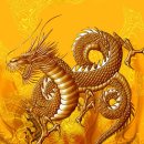 룡