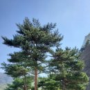 신동지낚시터 이미지