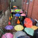 닥터인디자인 | 2024년의 범죄일지