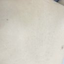 동탄왁싱 블루씨엘왁싱 여름맞이 등왁싱 후기