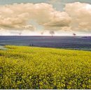 하원농장 이미지