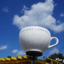 카페 인(cafe in) 이미지