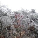 초안산길 이미지