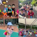 용인대 국무 태권도장 이미지