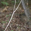 가장농장 이미지