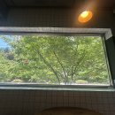 위윌커피