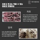 아이사랑한의원 Daum카페