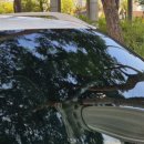 양덕자동셀프세차장 이미지