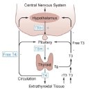 예동물병원 이미지