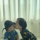 밥 안먹는아기 밥통이유식 유아식 추천 엄청 쉬워요