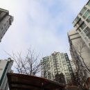 수원-1516 이미지