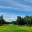 에버그린여행사 이미지