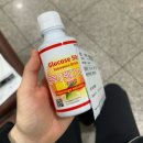 임신 마지막 세 달의 기록
