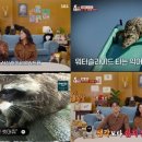 도전자네 농장 이미지