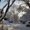 통나무펜션&편백쉼터 이미지